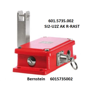 Bernstein 6015735002 (601.5735.002) SI2-U2Z AK R-RAST Rope Pull Switch ...