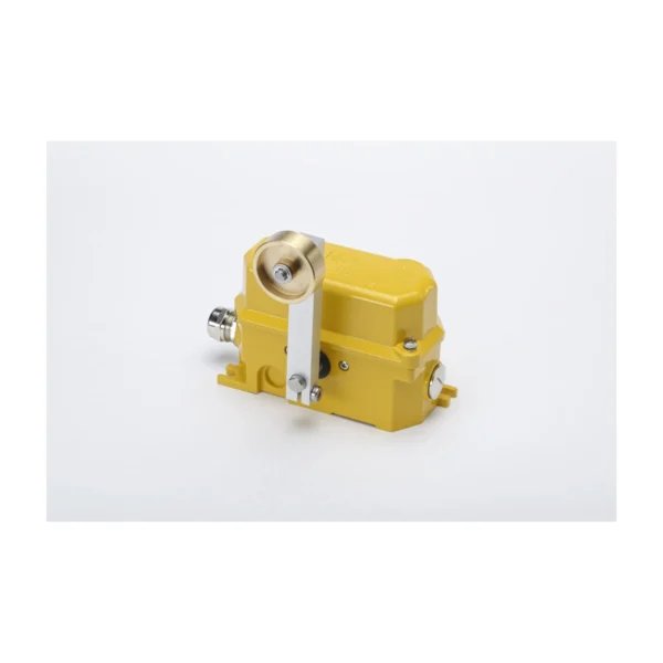 Kiepe Electric Roller-Lever Limit Switch