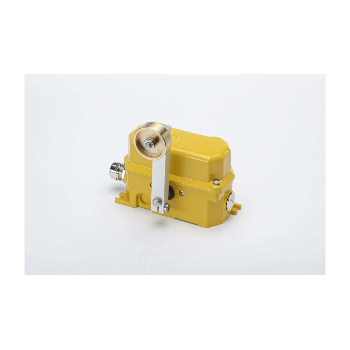 Kiepe Electric Roller-Lever Limit Switch Kiepe Electric Roller-Lever Limit Switch