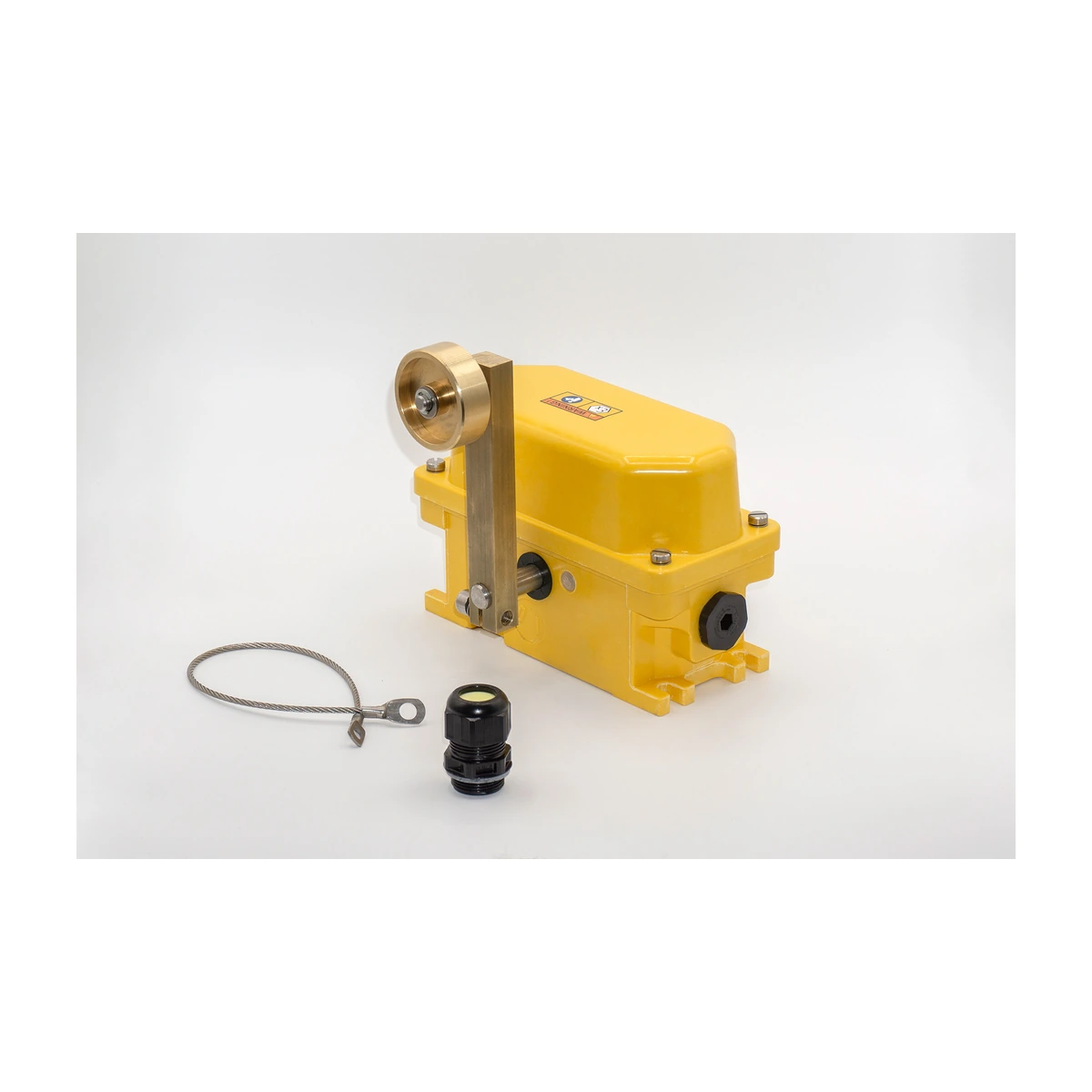 Kiepe Electric ATEX Roller-Lever Limit Switch Kiepe Electric ATEX Roller-Lever Limit Switch