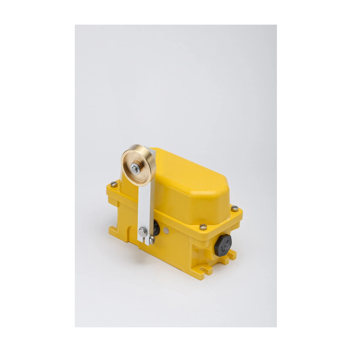 Kiepe Electric Roller-Lever Limit Switch Kiepe Electric Roller-Lever Limit Switch